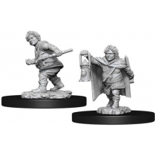 WIZKIDS 90006 D & D NOLZURS MARVELOUS MINIATURES MALE HALFLING ROGUE