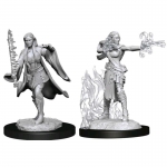 WIZKIDS 90149 D & D NOLZURS MARVELOUS MINIATURES MULTICLASS WARLOCK + SORCERER FEMALE