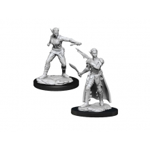 WIZARDS OF THE COAST 90148 D & D NOLZURS MARVELOUS MINIATURES SHIFTER ROGUE FEMALE