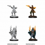 WIZKIDS 90053 D & D NOLZURS MARVELOUS MINIATURES MALE HUMAN SORCERER