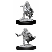 WIZKIDS 90139 D & D NOLZURS MARVELOUS MINIATURES HALFLING ROGUE MALE