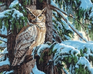 DIMENSIONS 91772 GREAT HORNED OWL SITTING IN SNOW COVERED TREE PAINT BY NUMBER ( 20PULGX16PULG )