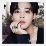 LNS INTERNATIONAL 06215 BTS JIMIN BE JIGSAW PUZZLE 289 PIEZAS