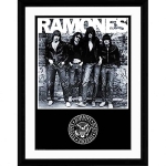 SMARTCIBLE PFC2089 CUADRO DE COLECCION RAMONES ALBUM