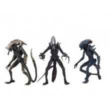 NECA 51717 FIGURA ALIEN VS PREDATOS 7 PULGADAS RAZOR CLAW, CHRYSALIS, ARACHNOID