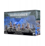 WARHAMMER 99120108074 ADEPTUS CUSTODES SISTERS OF SILENCE