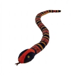 NATUREPLANET 22169NA ECP SNAKE CORAL SNAKE