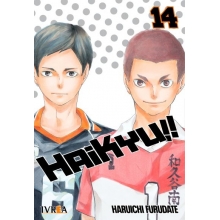 IVREA HAI14 HAIKYU ! ! 14