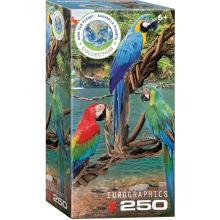 EUROGRAPHICS 8251-5588 MACAWS 250 PIEZAS