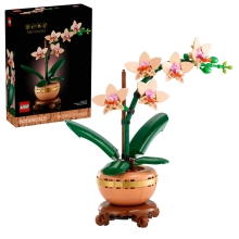 LEGO 10343 BOTANICALS MINIORQUIDEA