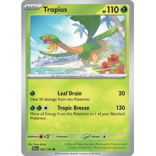 POKEMON PALDEA EVOLVED CARTA TROPIUS COMUN