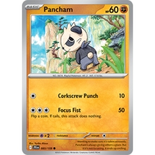 POKEMON JOURNEY TOGETHER CARTA PANCHAM COMUN