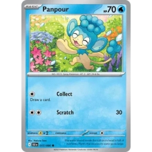 POKEMON CARTA PANPOUR COMUN