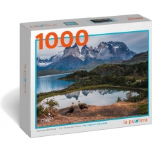 LAPUZZLERA C6CPNCDP25 PUZZLE CUERNOS DEL PAINE PARQUE NACIONAL TORRES DEL PAINE 1000 PIEZAS