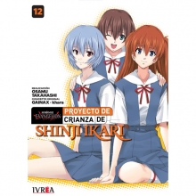 IVREA EVANGELION PROYECTO DE CRIANZA DE SHINJI IKARI 12