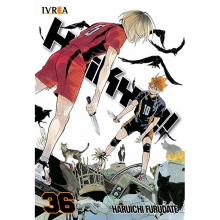IVREA HAIKYU!! 36